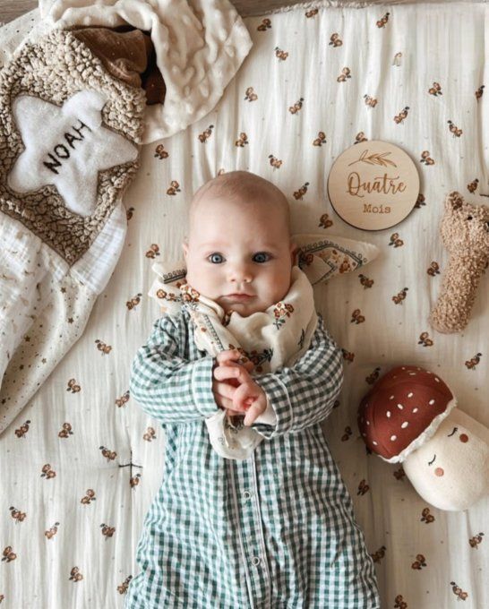 couverture mille et une nuits 