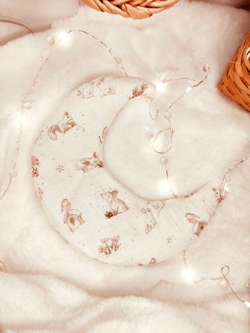 Bouillotte sèche , voyage au pays des rêves  - Copie