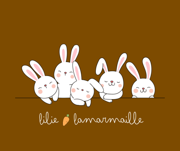 lilielamarmaille.fr